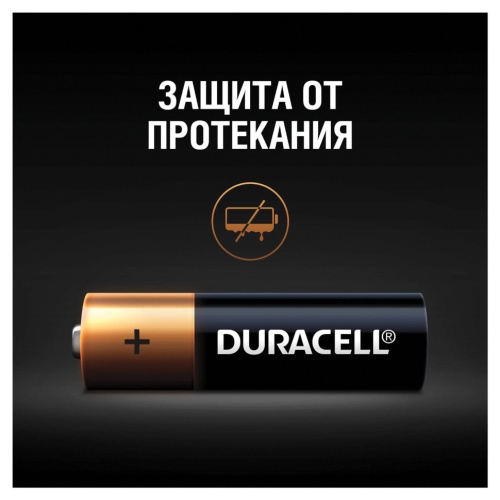 Батарейки алкалиновые Duracell Basic LR06 (AA) 12 шт (450432) фото 3